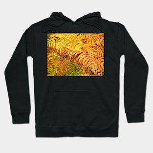 Autumn ferns Hoodie